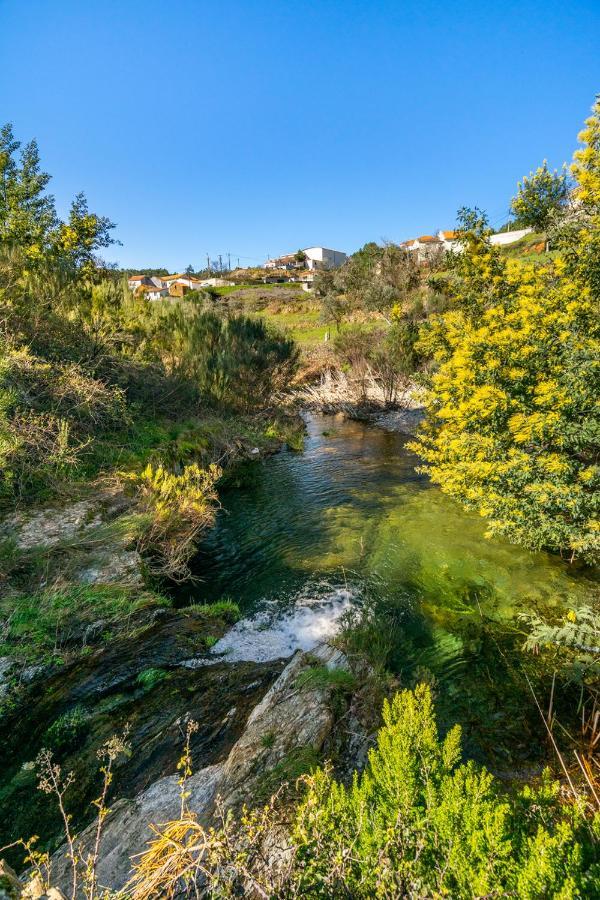 Aradas, Pampilhosa Da Serra, Casa Da Oliveira, Wifi, Ar Condicionado, Churrasqueira, Parqueamento, By Ig Unhais-o-Velho Εξωτερικό φωτογραφία
