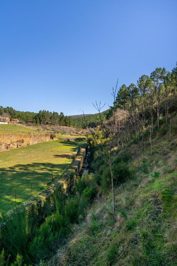 Aradas, Pampilhosa Da Serra, Casa Da Oliveira, Wifi, Ar Condicionado, Churrasqueira, Parqueamento, By Ig Unhais-o-Velho Εξωτερικό φωτογραφία